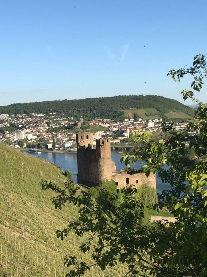 Ruedesheimer Wohlfuehloase Rüdesheim am Rhein Εξωτερικό φωτογραφία